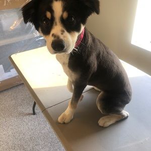 Meet your Posher, Chris